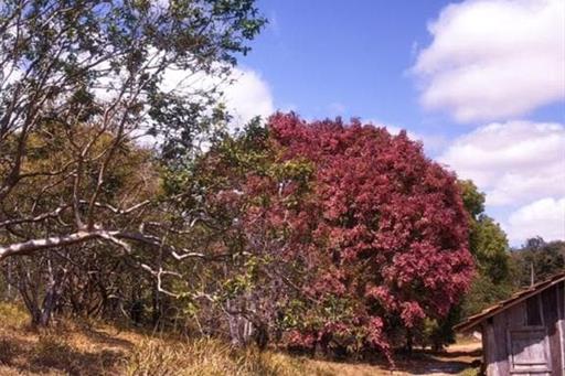 whatsapp image 2021-01-26 at 10.18.36 (5).jpeg