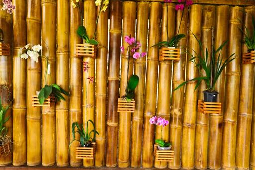 whatsapp image 2021-02-18 at 00.10.12.jpeg