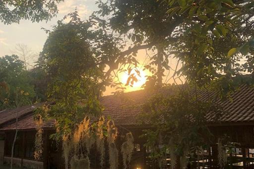 whatsapp image 2021-01-26 at 10.18.36 (6).jpeg