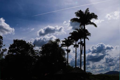 whatsapp image 2021-02-18 at 00.10.14.jpeg