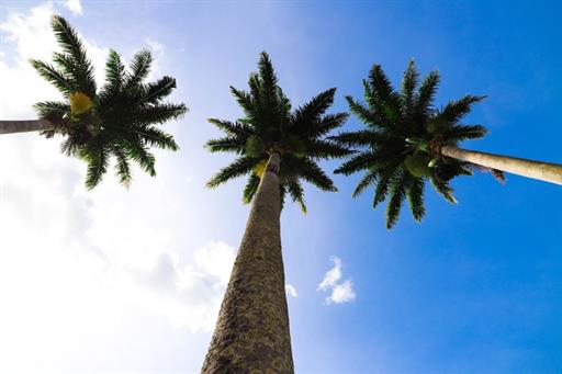 whatsapp image 2021-02-18 at 00.10.24 (3).jpeg