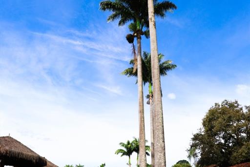 whatsapp image 2021-02-18 at 00.10.24 (2).jpeg