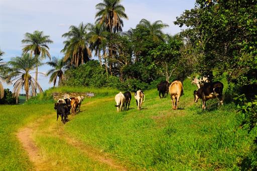 whatsapp image 2021-02-18 at 00.11.23 (2).jpeg