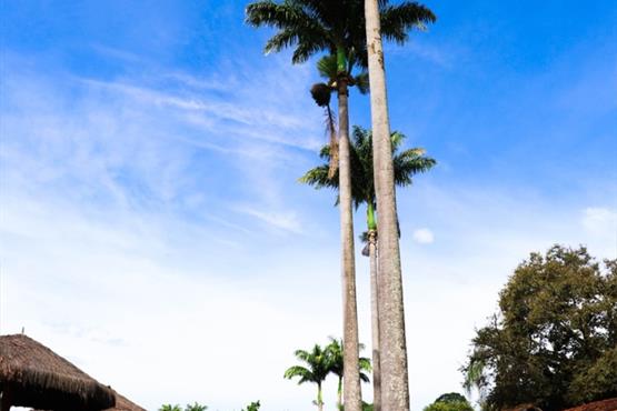 whatsapp image 2021-02-18 at 00.10.24 (2).jpeg