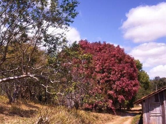 whatsapp image 2021-01-26 at 10.18.36 (5).jpeg