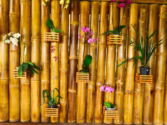 whatsapp image 2021-02-18 at 00.10.12.jpeg