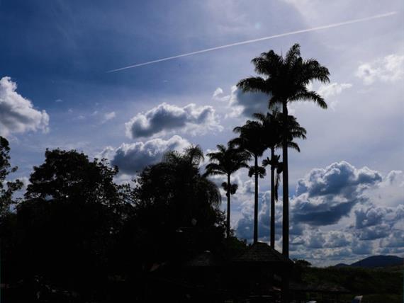 whatsapp image 2021-02-18 at 00.10.14.jpeg