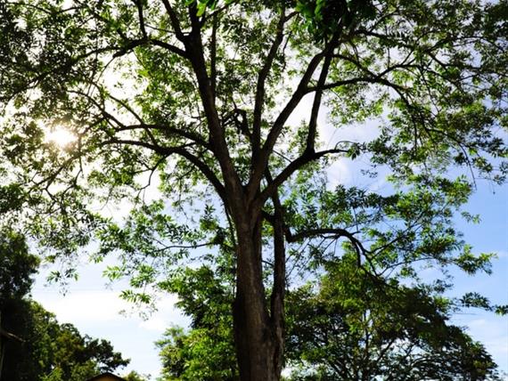 whatsapp image 2021-02-18 at 00.11.09.jpeg