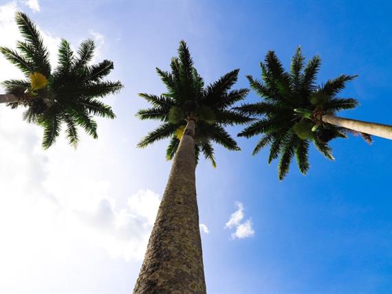 whatsapp image 2021-02-18 at 00.10.24 (3).jpeg