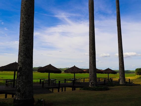 whatsapp image 2021-02-18 at 00.10.33.jpeg