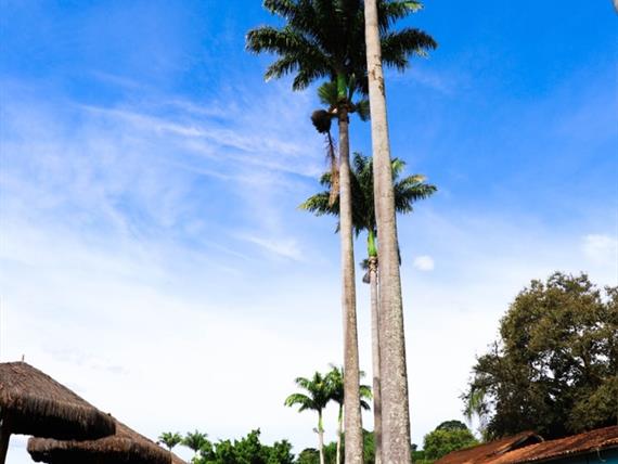 whatsapp image 2021-02-18 at 00.10.24 (2).jpeg