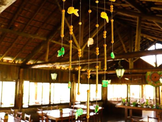 whatsapp image 2021-02-18 at 00.10.47 (1).jpeg