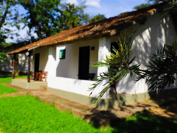 whatsapp image 2021-02-18 at 00.10.58.jpeg