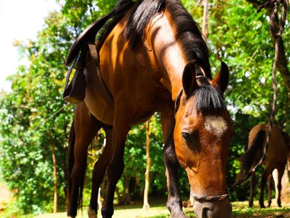 whatsapp image 2021-02-18 at 00.10.04 (1).jpeg