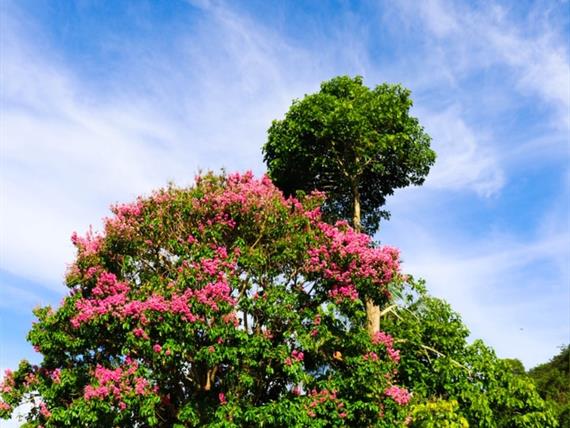 whatsapp image 2021-02-18 at 00.11.23 (3).jpeg