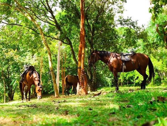 whatsapp image 2021-02-18 at 00.10.04.jpeg