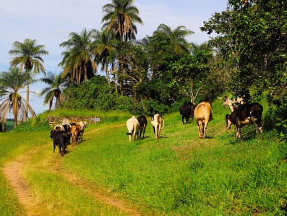 whatsapp image 2021-02-18 at 00.11.23 (2).jpeg