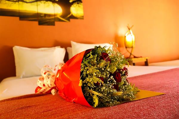 whatsapp image 2021-02-18 at 00.11.39 (1).jpeg