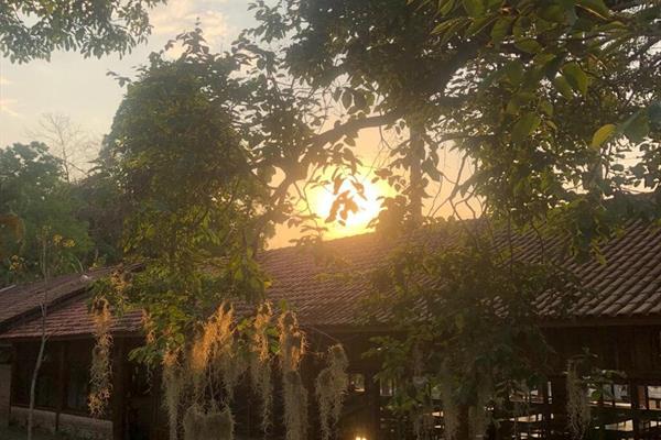 whatsapp image 2021-01-26 at 10.18.36 (6).jpeg