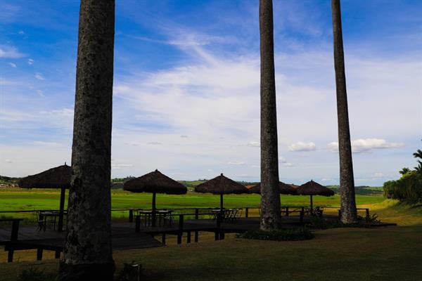 whatsapp image 2021-02-18 at 00.10.33.jpeg