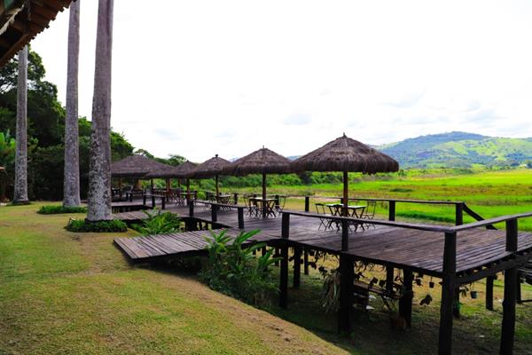 whatsapp image 2021-02-18 at 00.10.23.jpeg