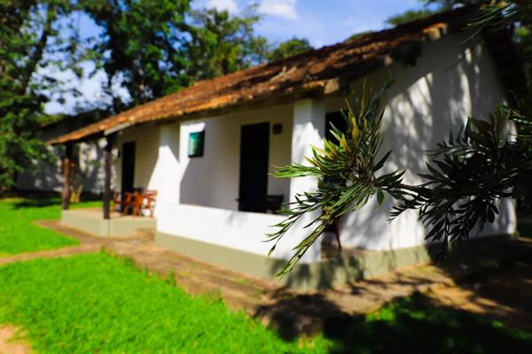 whatsapp image 2021-02-18 at 00.10.58.jpeg