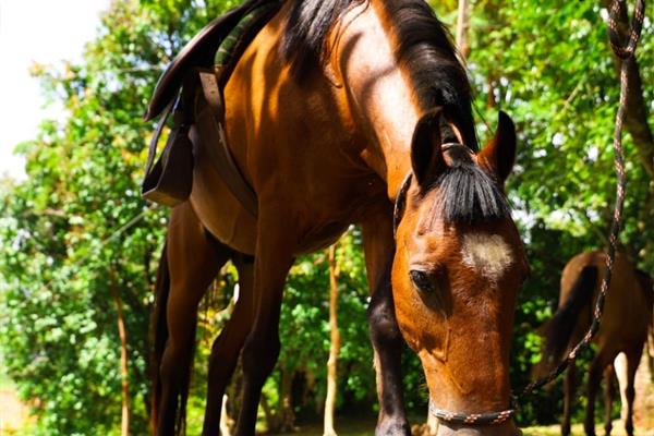 whatsapp image 2021-02-18 at 00.10.04 (1).jpeg