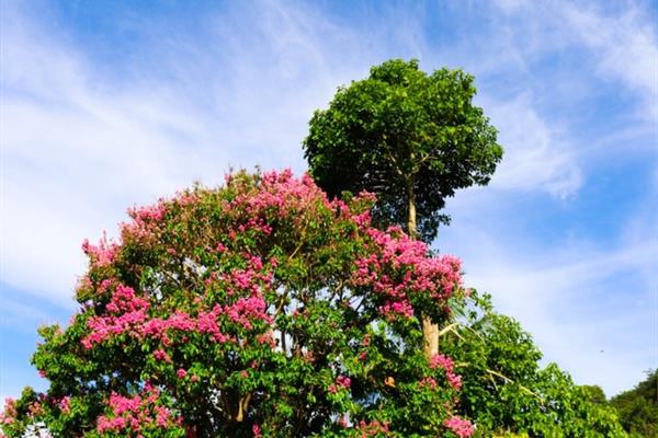 whatsapp image 2021-02-18 at 00.11.23 (3).jpeg