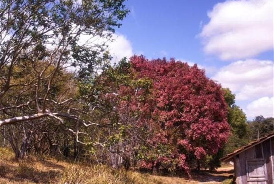 whatsapp image 2021-01-26 at 10.18.36 (5).jpeg