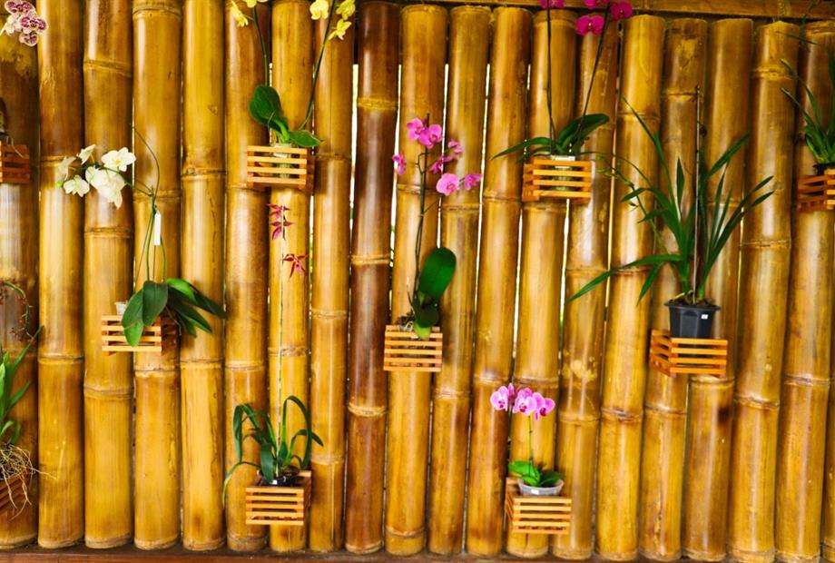 whatsapp image 2021-02-18 at 00.10.12.jpeg