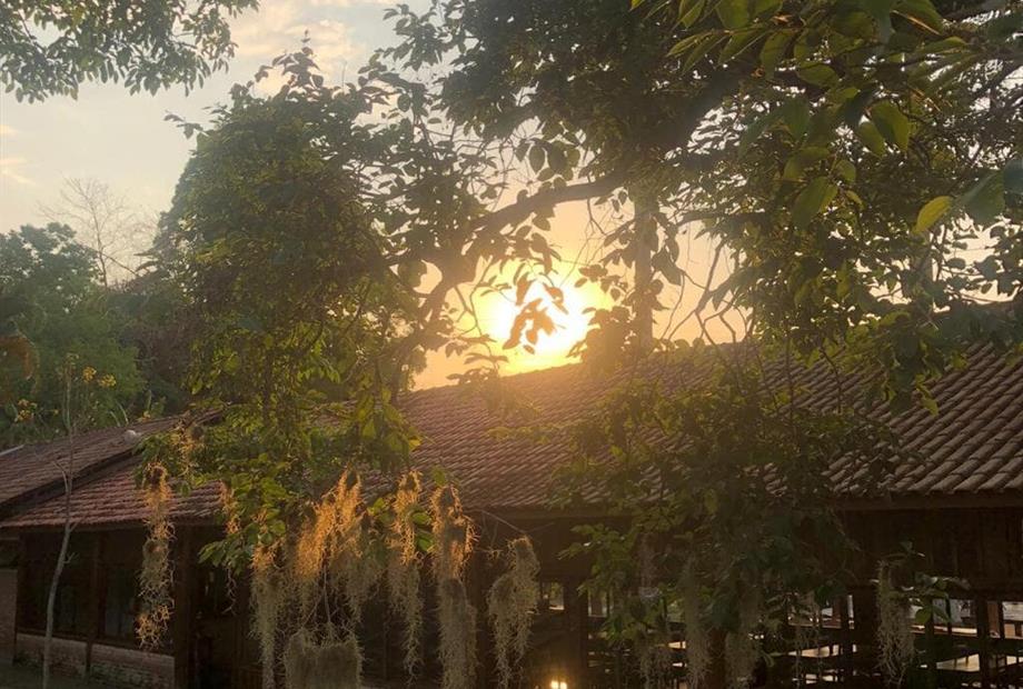 whatsapp image 2021-01-26 at 10.18.36 (6).jpeg