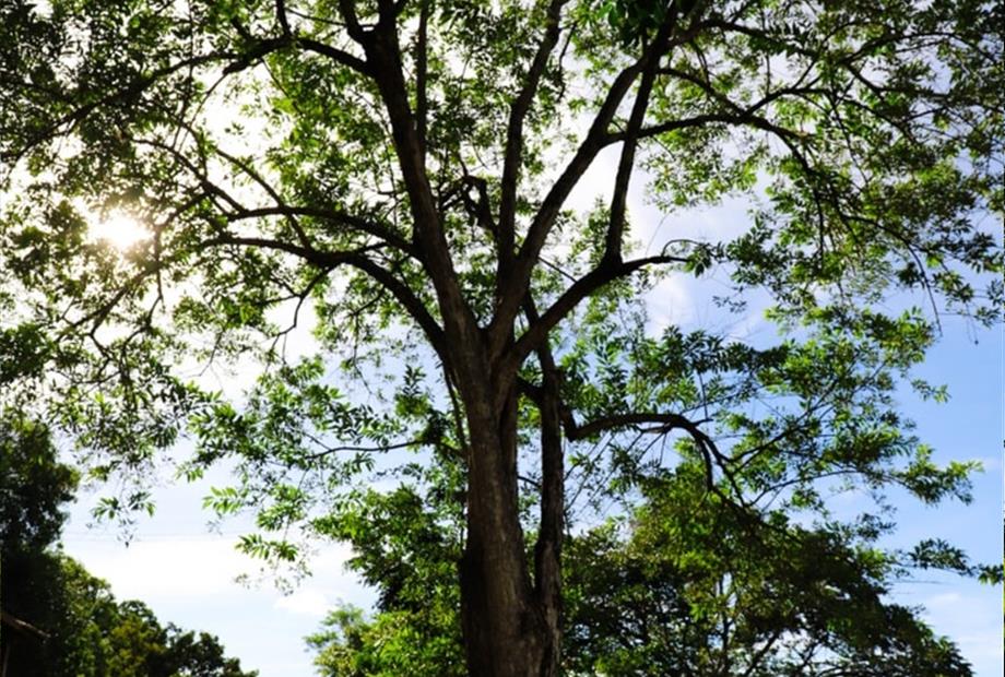 whatsapp image 2021-02-18 at 00.11.09.jpeg