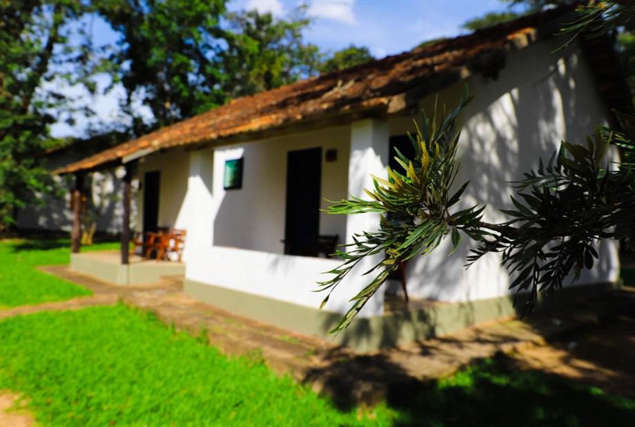 whatsapp image 2021-02-18 at 00.10.58.jpeg