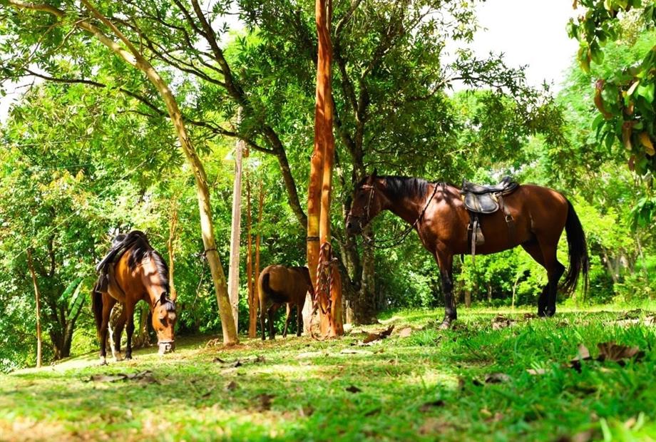 whatsapp image 2021-02-18 at 00.10.04.jpeg