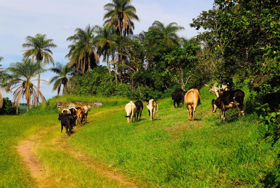 whatsapp image 2021-02-18 at 00.11.23 (2).jpeg