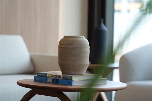 rhasu_lobby detalles_2.jpg