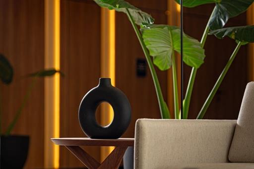 rhasu_lobby detalles (1).jpg