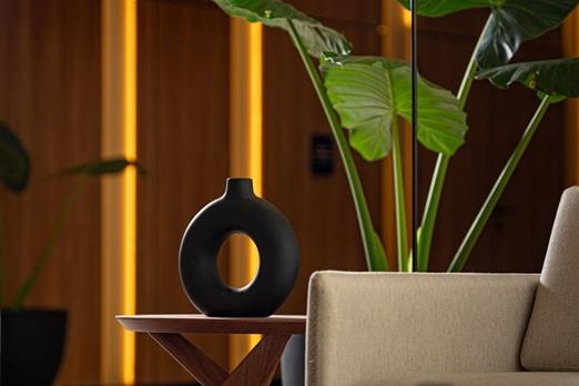 rhasu_lobby detalles (1).jpg