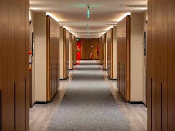 h. rhasu_pasillos uh (1).jpg