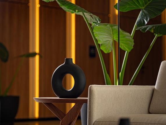 rhasu_lobby detalles (1).jpg