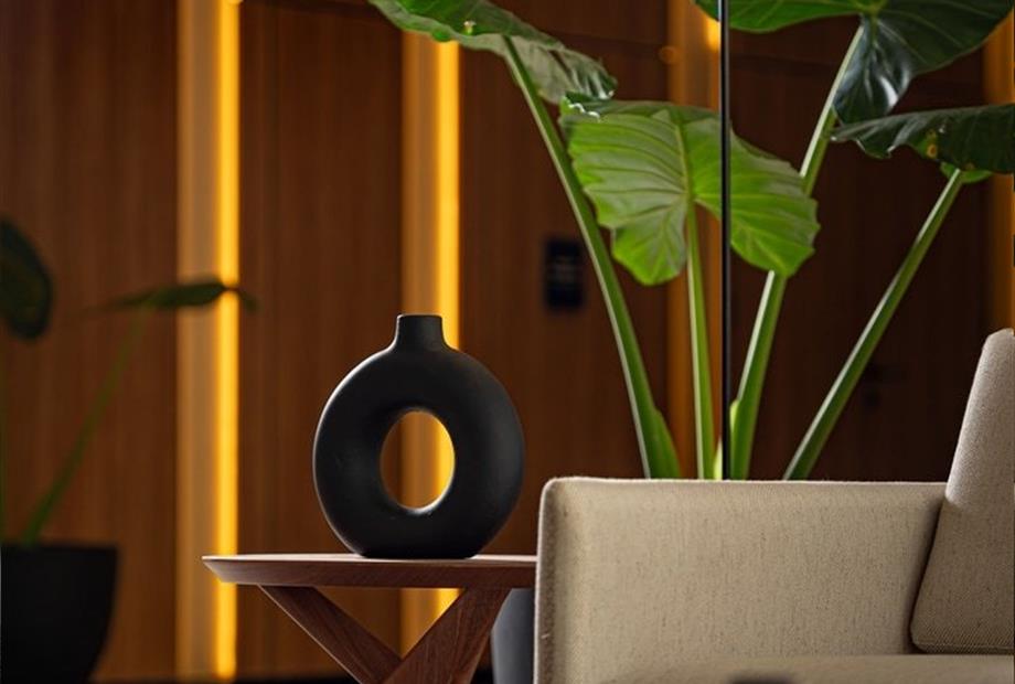 rhasu_lobby detalles (1).jpg