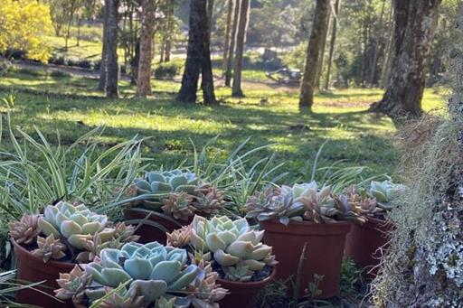 whatsapp image 2025-06-18 at 10.20.19.jpeg