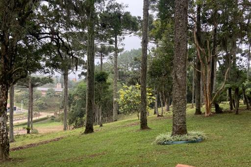 whatsapp image 2025-06-18 at 10.20.17.jpeg