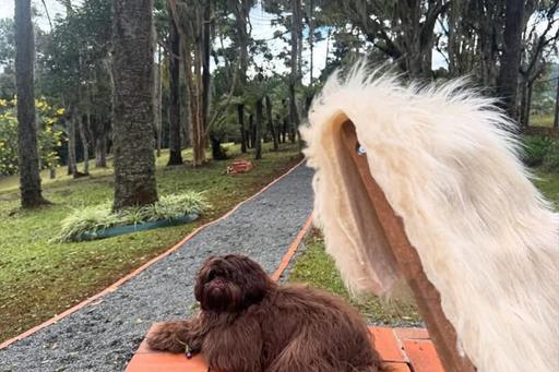 whatsapp image 2025-07-18 at 11.42.36 (2) (2).jpeg