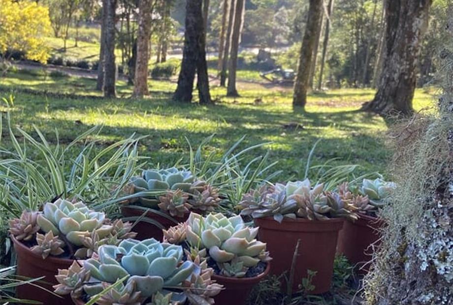 whatsapp image 2025-06-18 at 10.20.19.jpeg