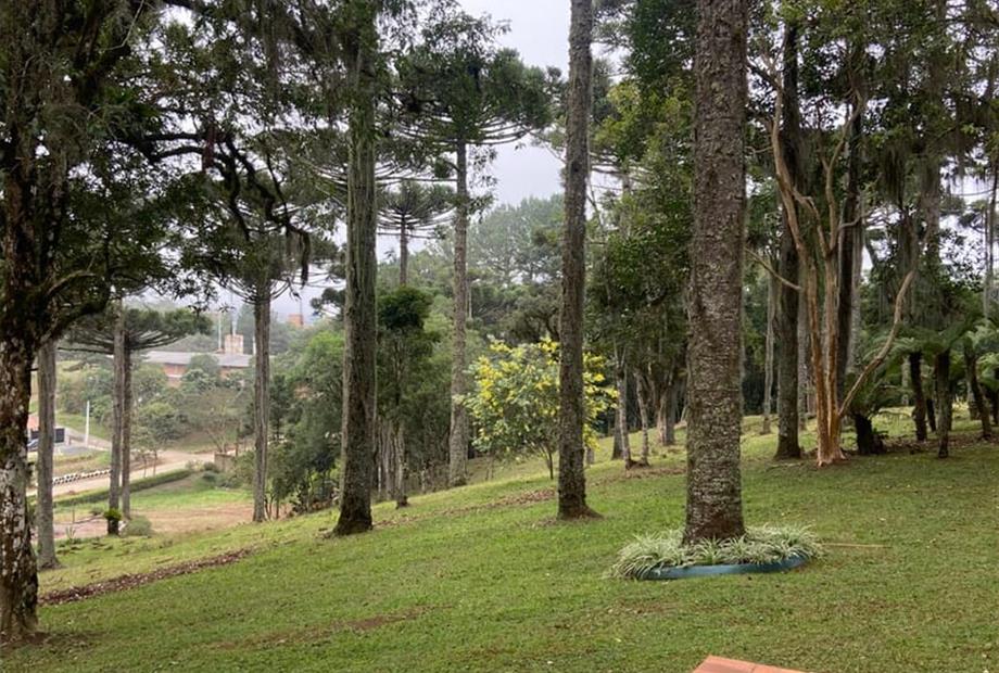 whatsapp image 2025-06-18 at 10.20.17.jpeg