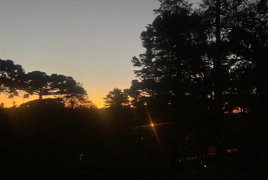 whatsapp image 2025-06-18 at 10.20.16 (3).jpeg