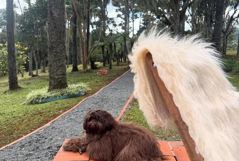 whatsapp image 2025-07-18 at 11.42.36 (2) (2).jpeg