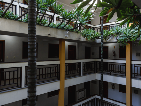 design sem nome (16).png