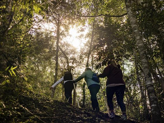 varshana-hotel---3 (1).jpg